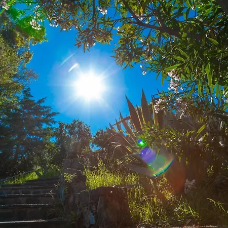 Giardino Sul Mare House - Sea View 莱万托